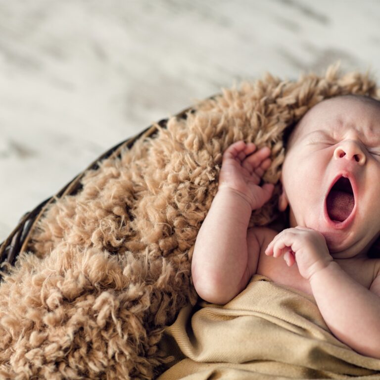 WhatsApp Image 2025-04-29 at 17.18