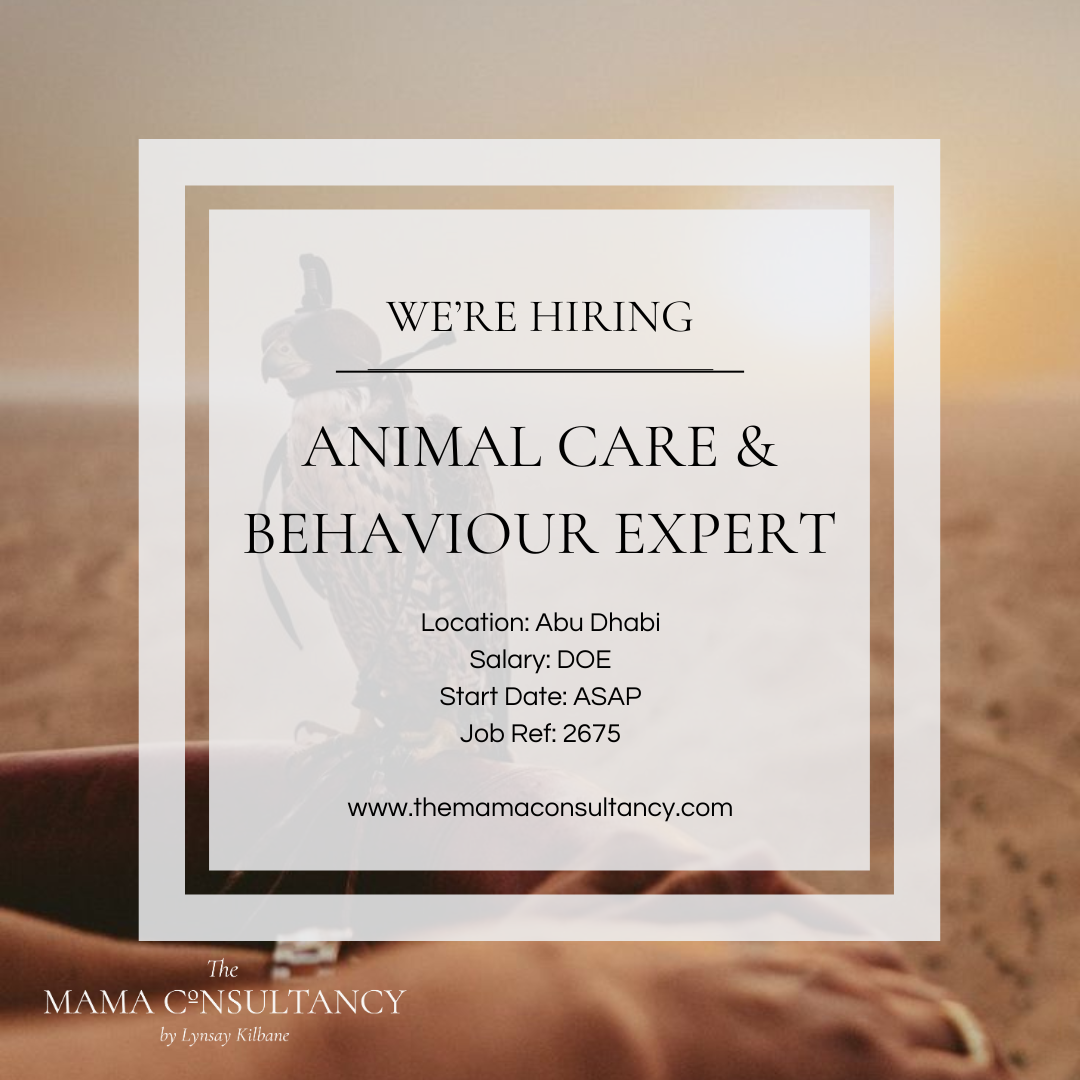 LATEST WE’RE HIRING POSTS (6)