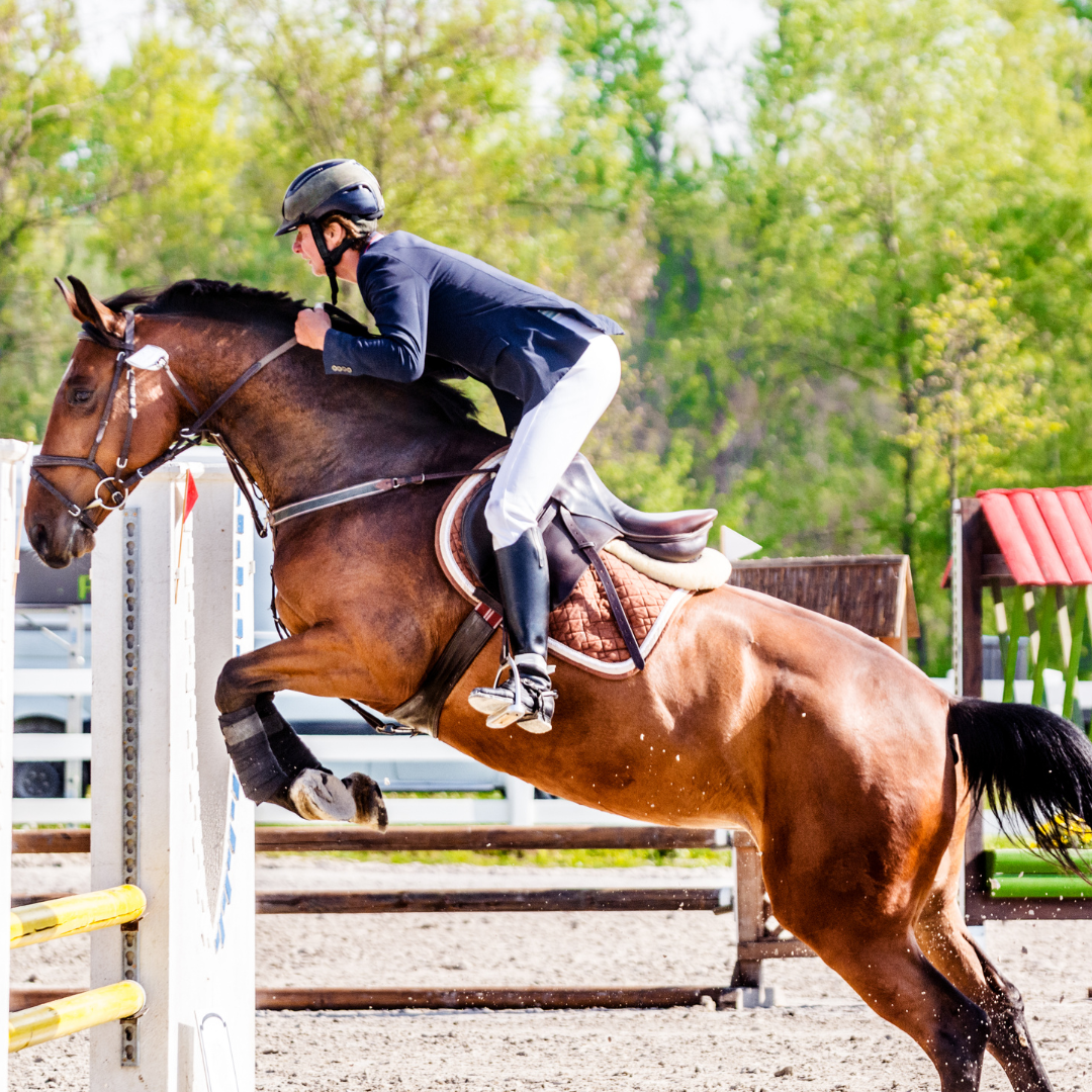 December Job Posts (17)